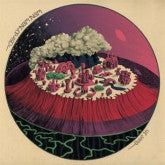 Birdy Nam Nam - Goin'In (12") - NEW