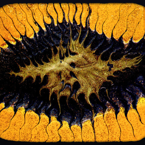 Coram Lethe - ... A Splendid Chaos (CD, Album) - USED