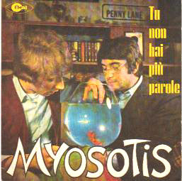 Myosotis (2) - Tu Non Hai Più Parole (7") - USED