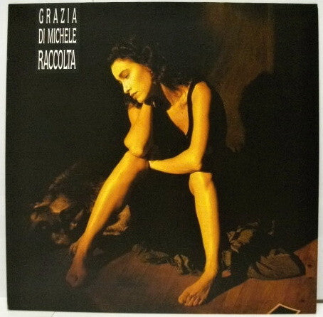 Grazia Di Michele - Raccolta (LP) - USED