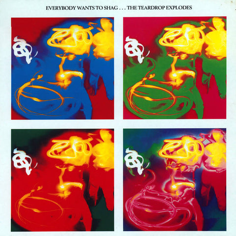 The Teardrop Explodes - Everybody Wants To Shag...The Teardrop Explodes (LP, Album) - USED