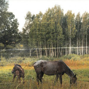 Pianos Become The Teeth - Old Pride (LP, Whi) - USED