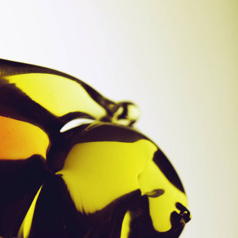 Hooray For Earth - True Loves (LP, Album) - NEW