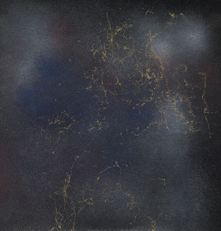 Rake - Rake Is My Co-Pilot (LP, Ltd) - USED