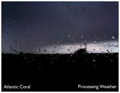 Atlantic Coral - Processing Weather (CDr, EP) - NEW