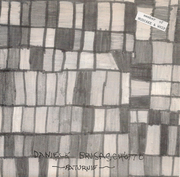 Daniele Brusaschetto - Paturnie (7") - USED