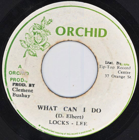 Locks - Lee* / Bushay All Stars* - What Can I Do / Dreader Version (7") - USED