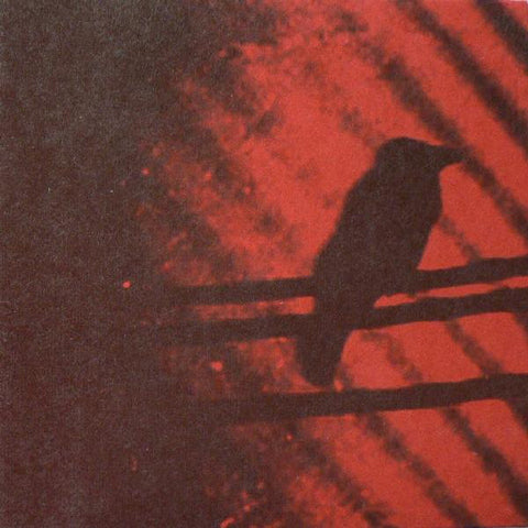 Silver Mt. Zion Memorial Orchestra & The Tra-la-la Band* - Born Into Trouble As The Sparks Fly Upward. (2x10", Album, RP) - NEW