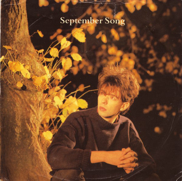 Ian McCulloch - September Song (7", Pap) - USED