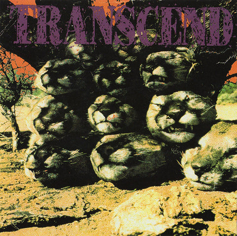Transcend (4) - Product Of Our Greed (CD, Comp) - USED