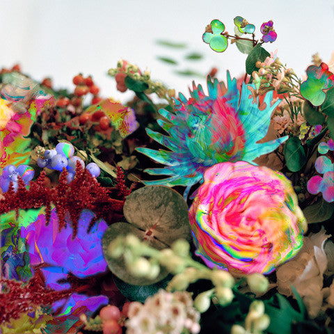 Darkstar (6) - News From Nowhere (2x12", Album) - NEW