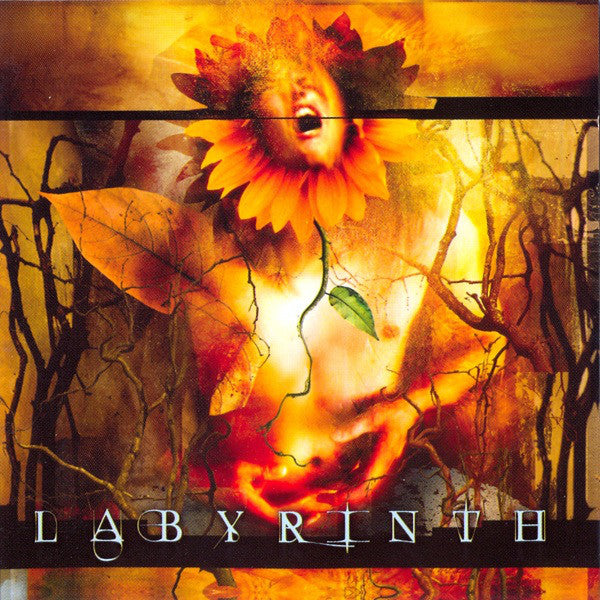 Labyrinth (3) - Labyrinth (CD, Album) - USED
