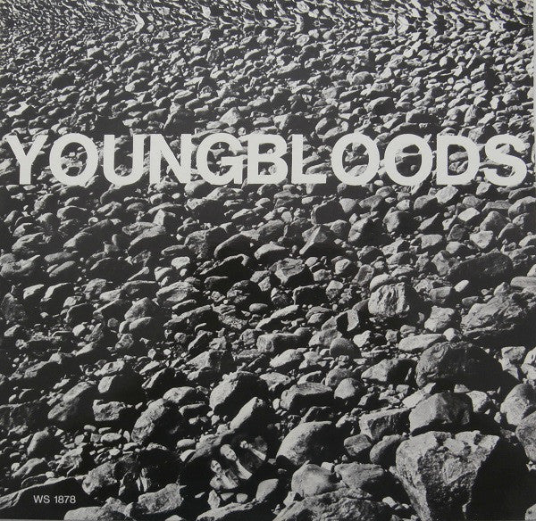 The Youngbloods - Rock Festival (LP, Album) - USED