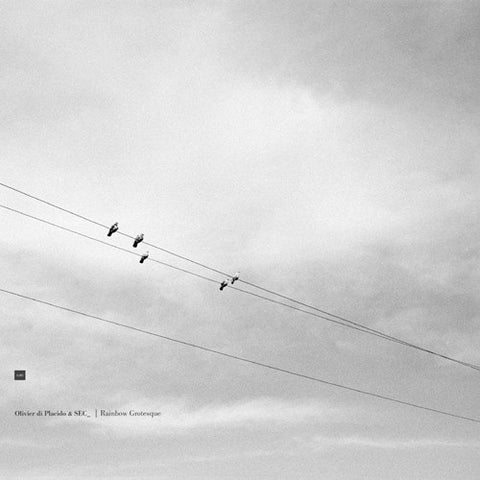 Olivier Di Placido & SEC_ - Rainbow Grotesque (LP) - USED