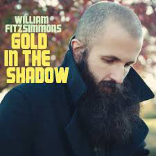 William Fitzsimmons - Gold In The Shadow (CD, Album) - NEW