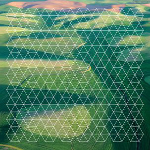 Henry Plotnick - Fields (2xLP, Album, Mil) - NEW