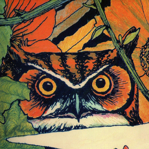 Le Nuvole Di Paglia - Live 73 (CD, Album) - USED