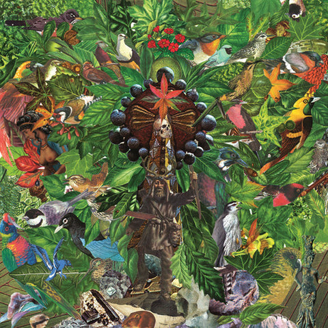 Plankton Wat - Drifter's Temple (LP, Album) - NEW