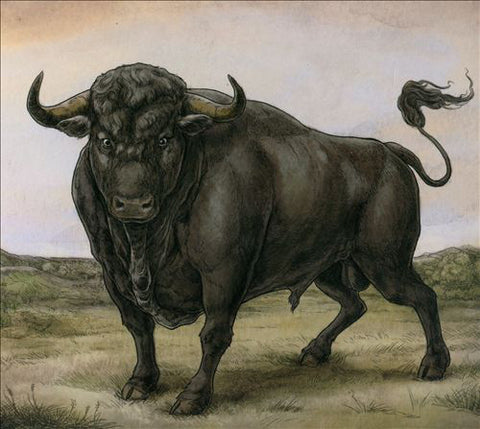 San Fermin - San Fermin (LP, Album) - NEW