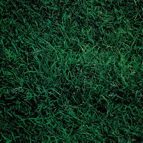 Living Music - To Allen Ginsberg (LP, RE) - NEW