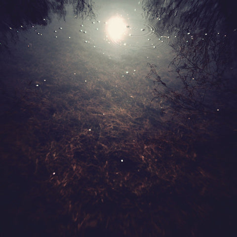 David Andree, Josh Mason - Call, Response (LP, Album) - USED