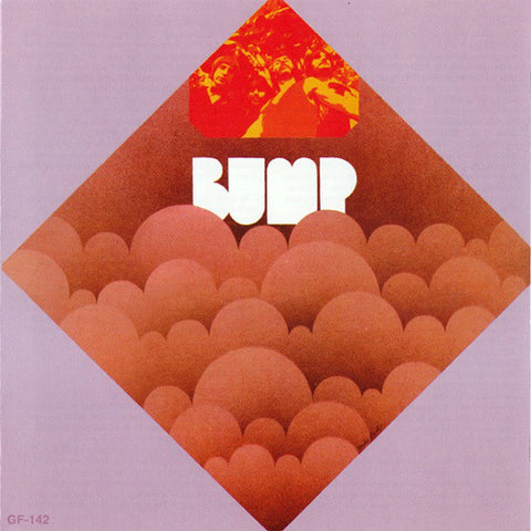 Bump (4) - Bump (LP, Album, RE, Lim) - NEW