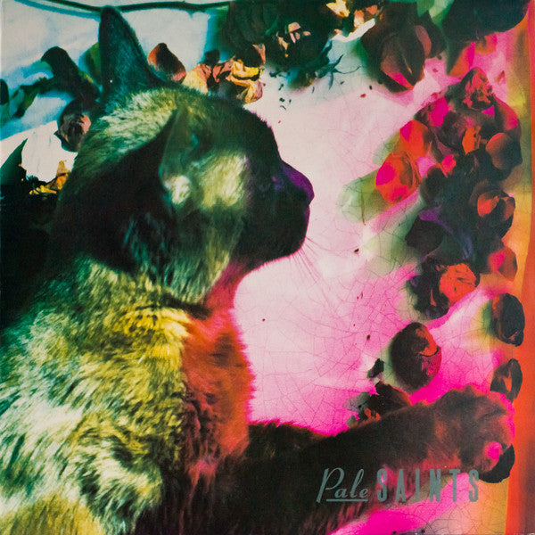 Pale Saints - The Comforts Of Madness (LP, Album) - USED