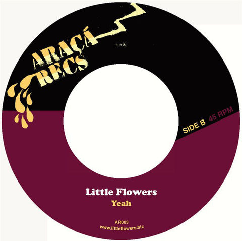 Little Flowers - Home (7") - USED
