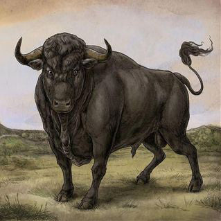 San Fermin - San Fermin (CD, Album, Dig) - USED