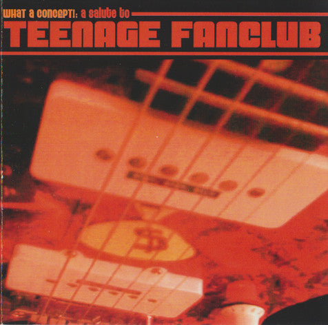 Various - What A Concept!: A Salute To Teenage Fanclub (CD, Comp) - USED
