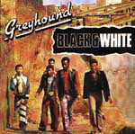 Greyhound (4) - Black & White (CD, Comp) - USED
