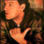 David Gilmour - About Face (LP, Album) - USED