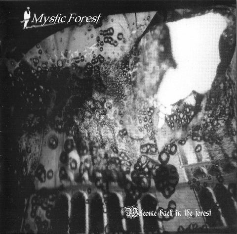 Mystic Forest - Welcome Back In The Forest (CD, Album) - USED