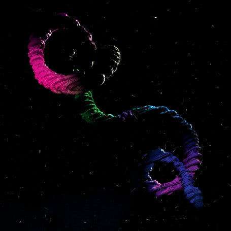 Brogan Bentley - The Snake (LP, Album) - NEW