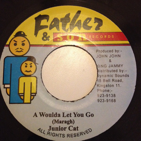 Junior Cat - A Woulda Let You Go (7") - USED