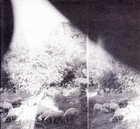 Godspeed You! Black Emperor* - Asunder, Sweet And Other Distress (CD, Album) - NEW