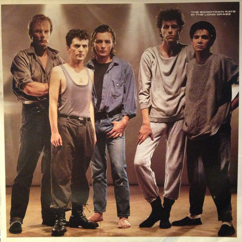 The Boomtown Rats - In The Long Grass (LP, Album) - USED