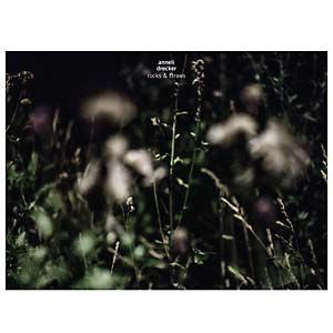 Anneli Drecker - Rocks & Straws (LP, Album) - NEW