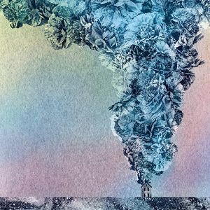 Daughn Gibson - Carnation (CD, Album) - NEW