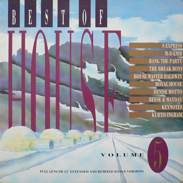 Various - Best Of House Volume 5 (LP, Comp) - USED