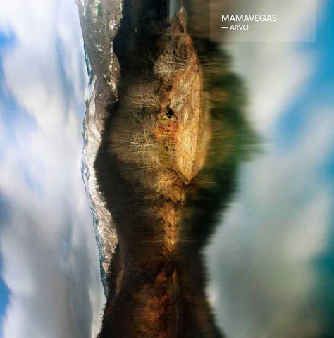 Mamavegas - Arvo (LP, Album) - USED