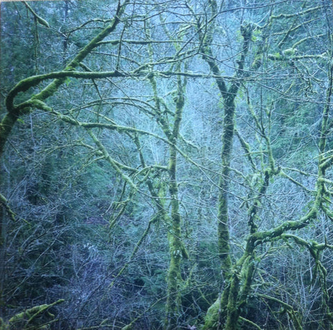 Six Organs Of Admittance - Dust And Chimes (LP, Album, RE) - NEW