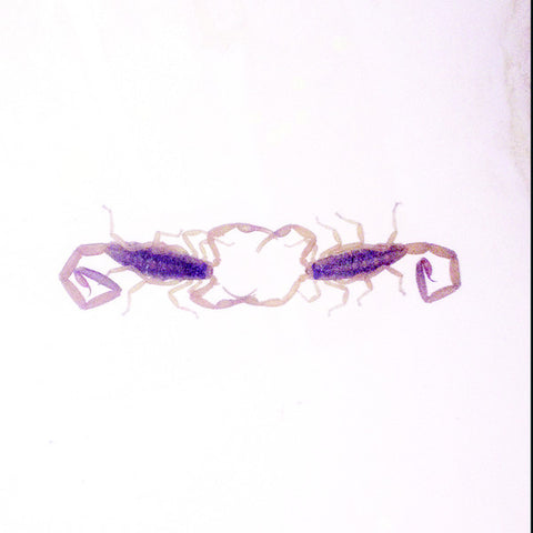 Cross Record - Wabi-Sabi (LP, Album) - NEW