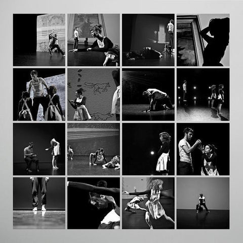 Peter Broderick - Music For Falling From Trees (LP, RP) - NEW