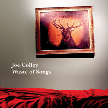 Joe Colley - Waste Of Songs (CD, Album) - USED