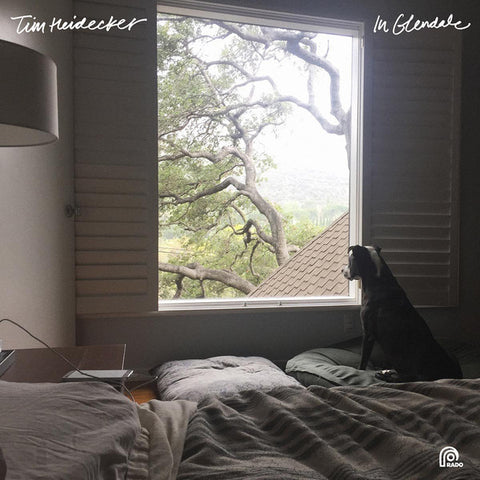 Tim Heidecker - In Glendale (LP, Album) - NEW