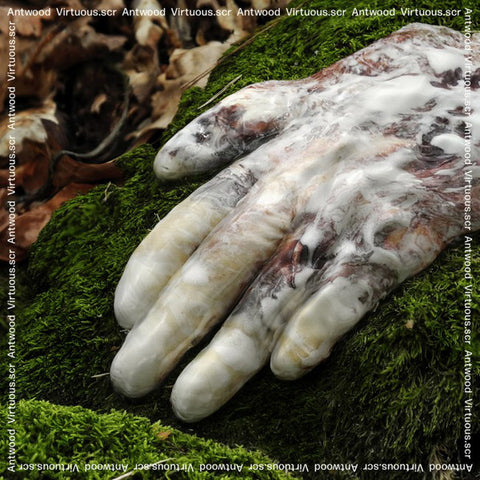 Antwood* - Virtuous.scr (2x12", Album) - NEW