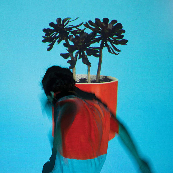 Local Natives - Sunlit Youth (LP, Album, Whi) - USED