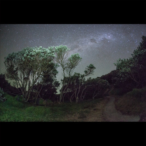 Esben And The Witch - Older Terrors (LP, Album, Ltd) - NEW